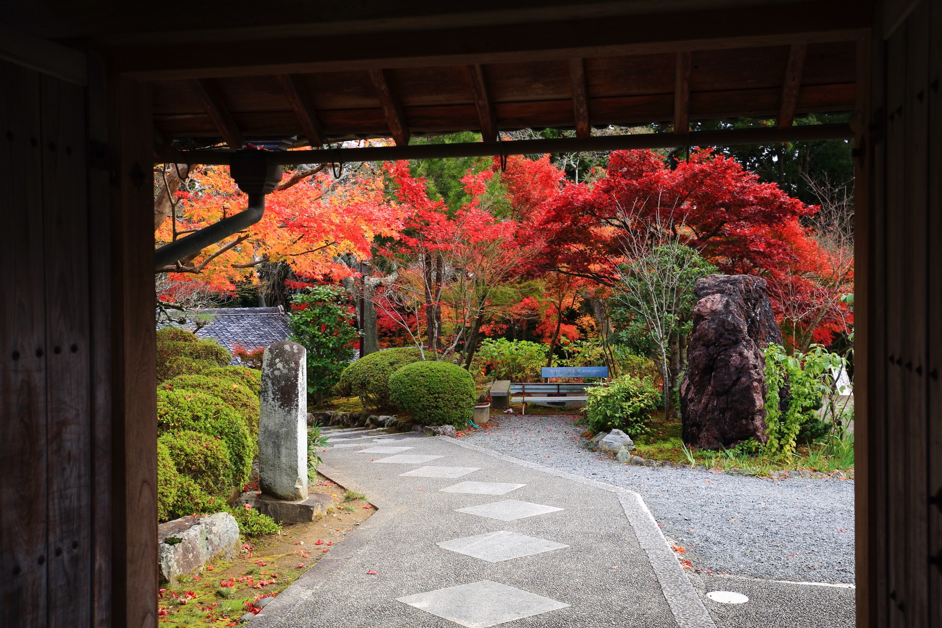 正法寺の山門の下から眺めた参道や庭園の額縁の紅葉