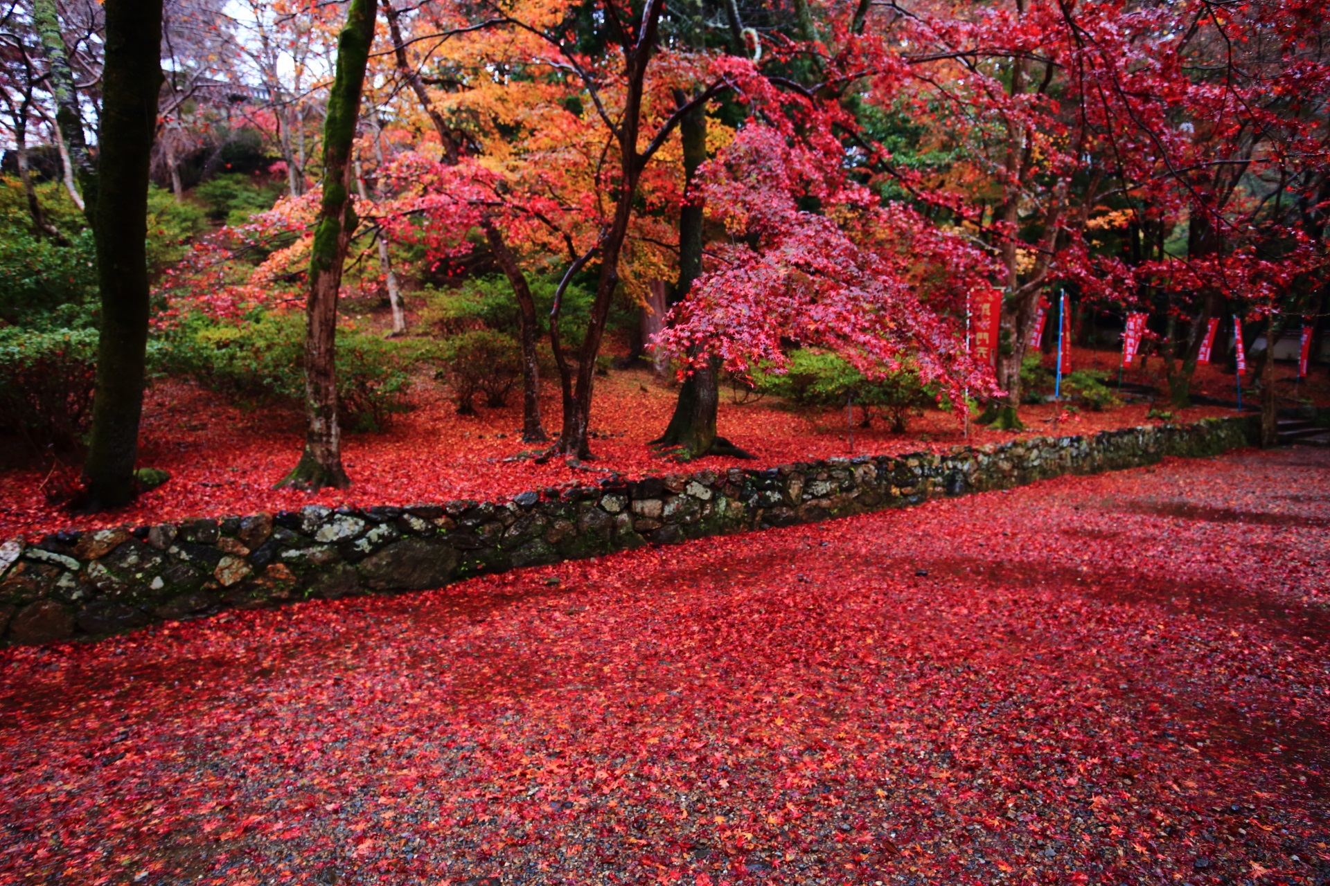 毘沙門堂の溢れる深く多彩な秋色