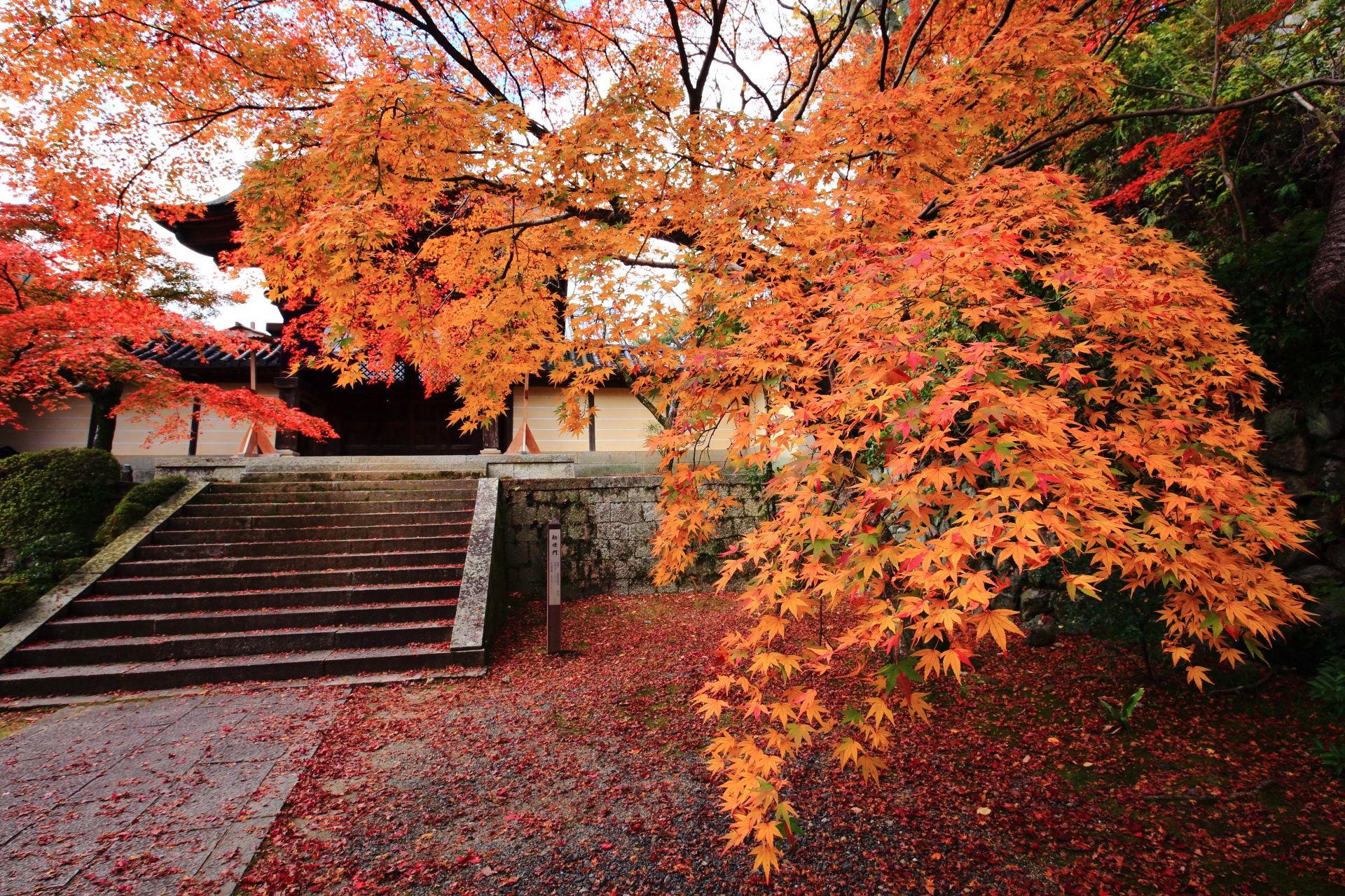 光明寺の紅葉と風情ある秋色