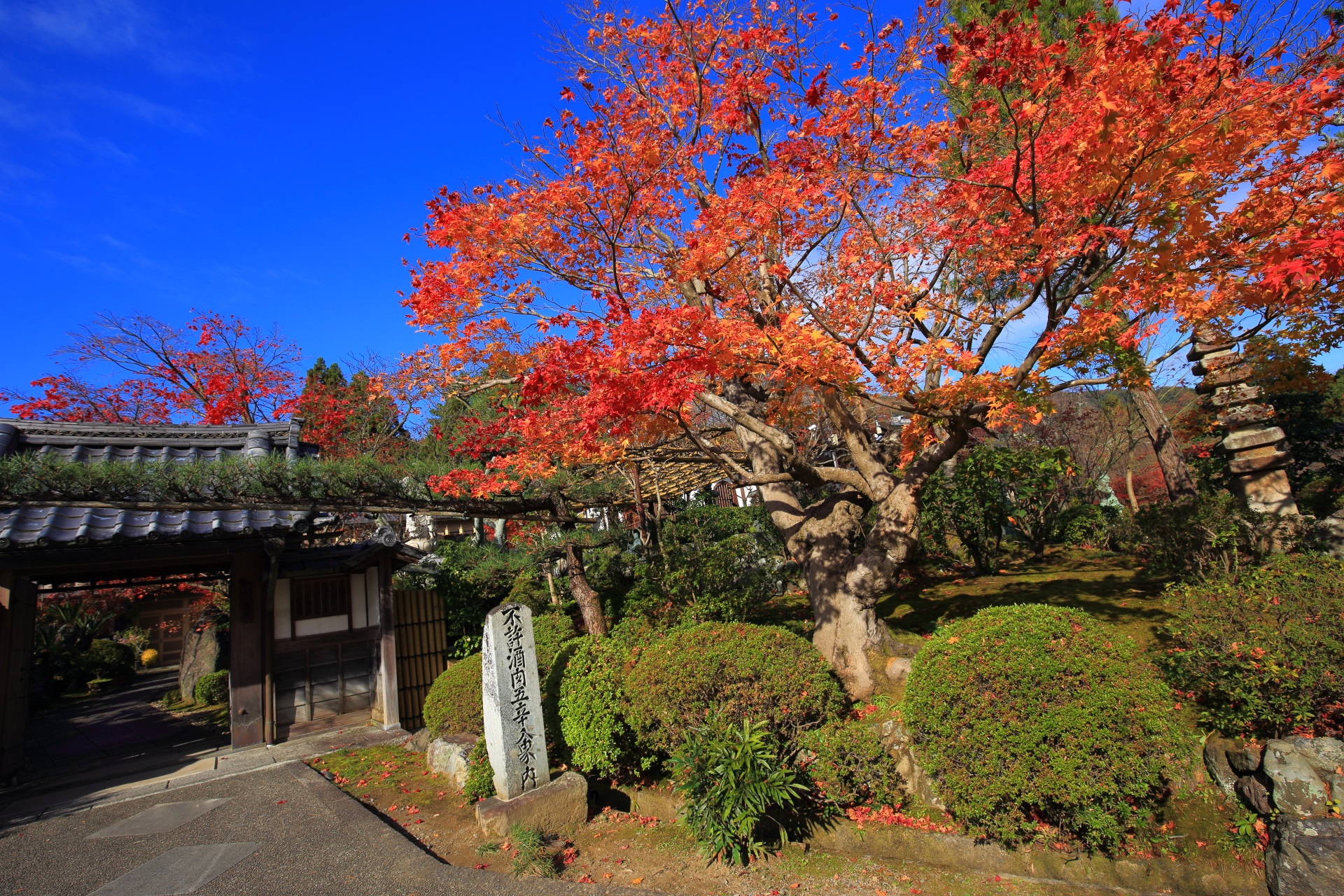 正法寺の素晴らしい紅葉と秋の情景