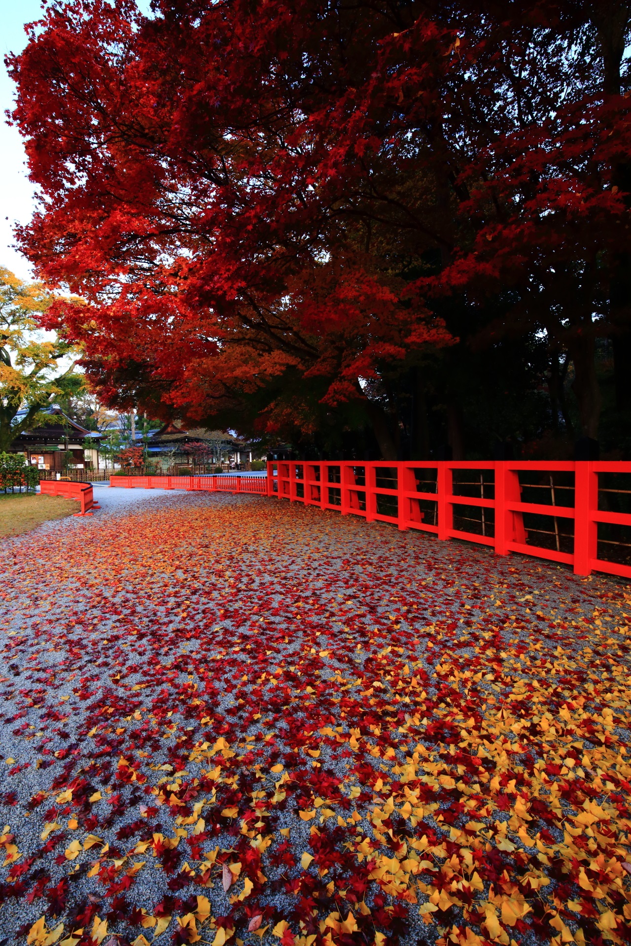 散り紅葉と散り銀杏の独特の情景