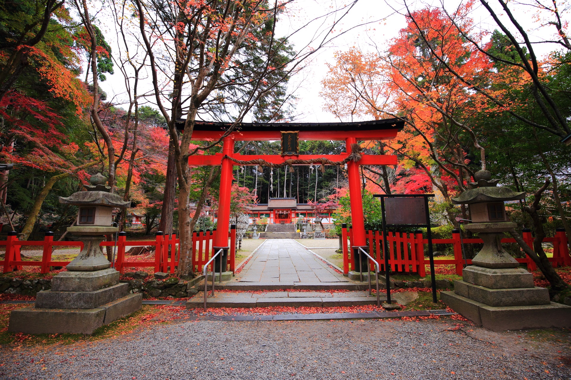 Kyoto Oharano-jinja shrine colored leaves