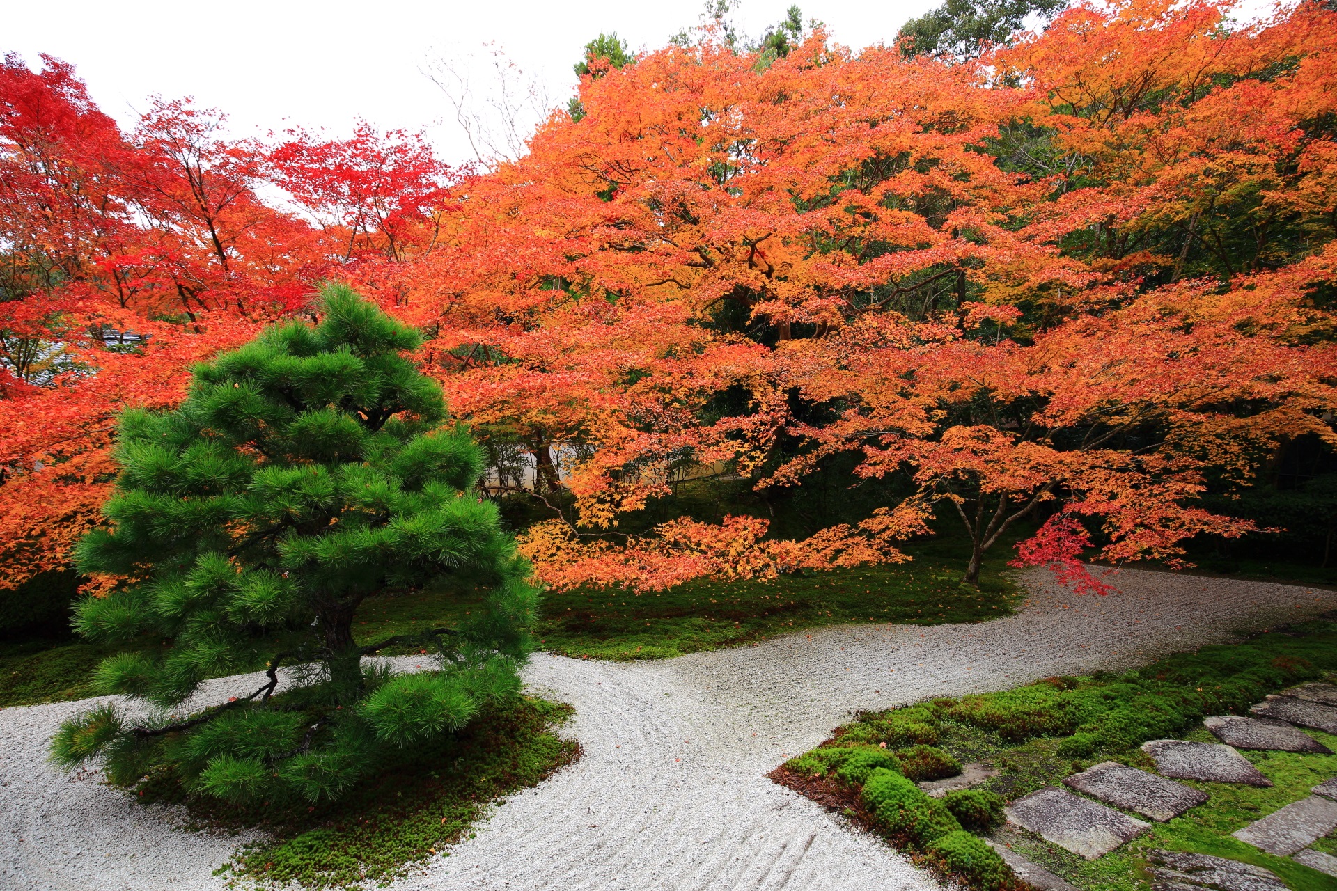 いろんな場所や角度から多様な彩りを楽しめる秋の天授庵