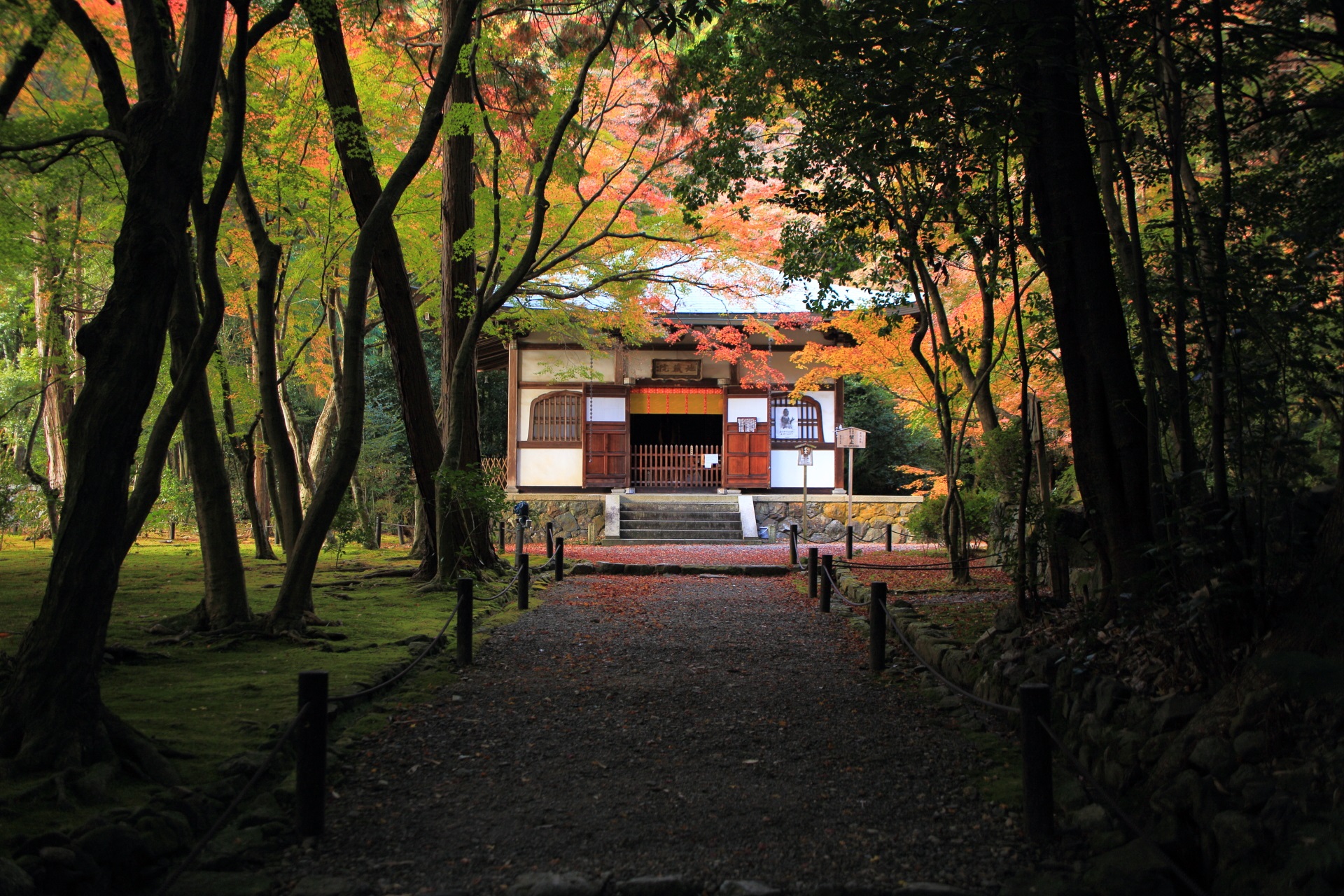 秋色に染まった竹の寺地蔵院の本堂と紅葉