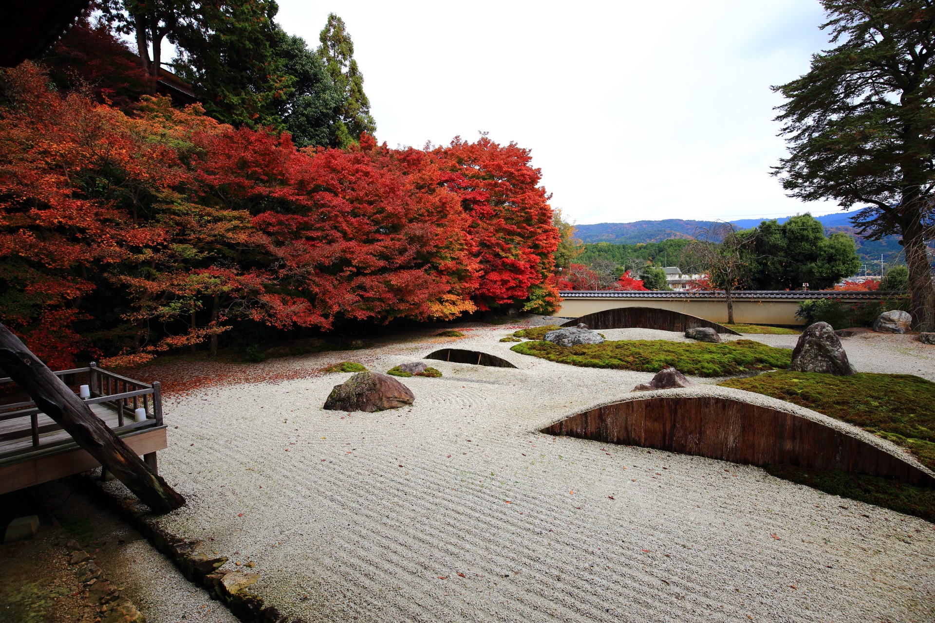 紅葉が豪快に溢れる実相院の石庭（枯山水庭園）