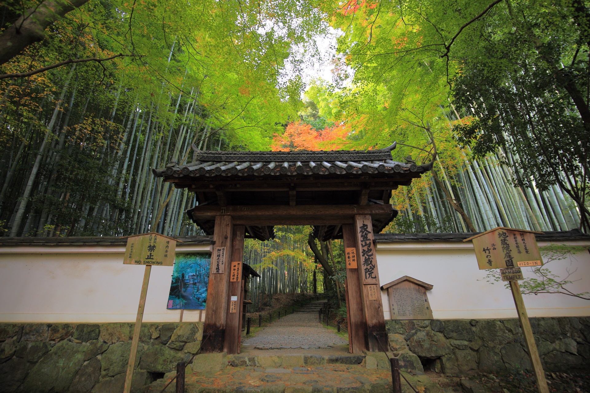 静かな竹林の道が続く地蔵院の山門