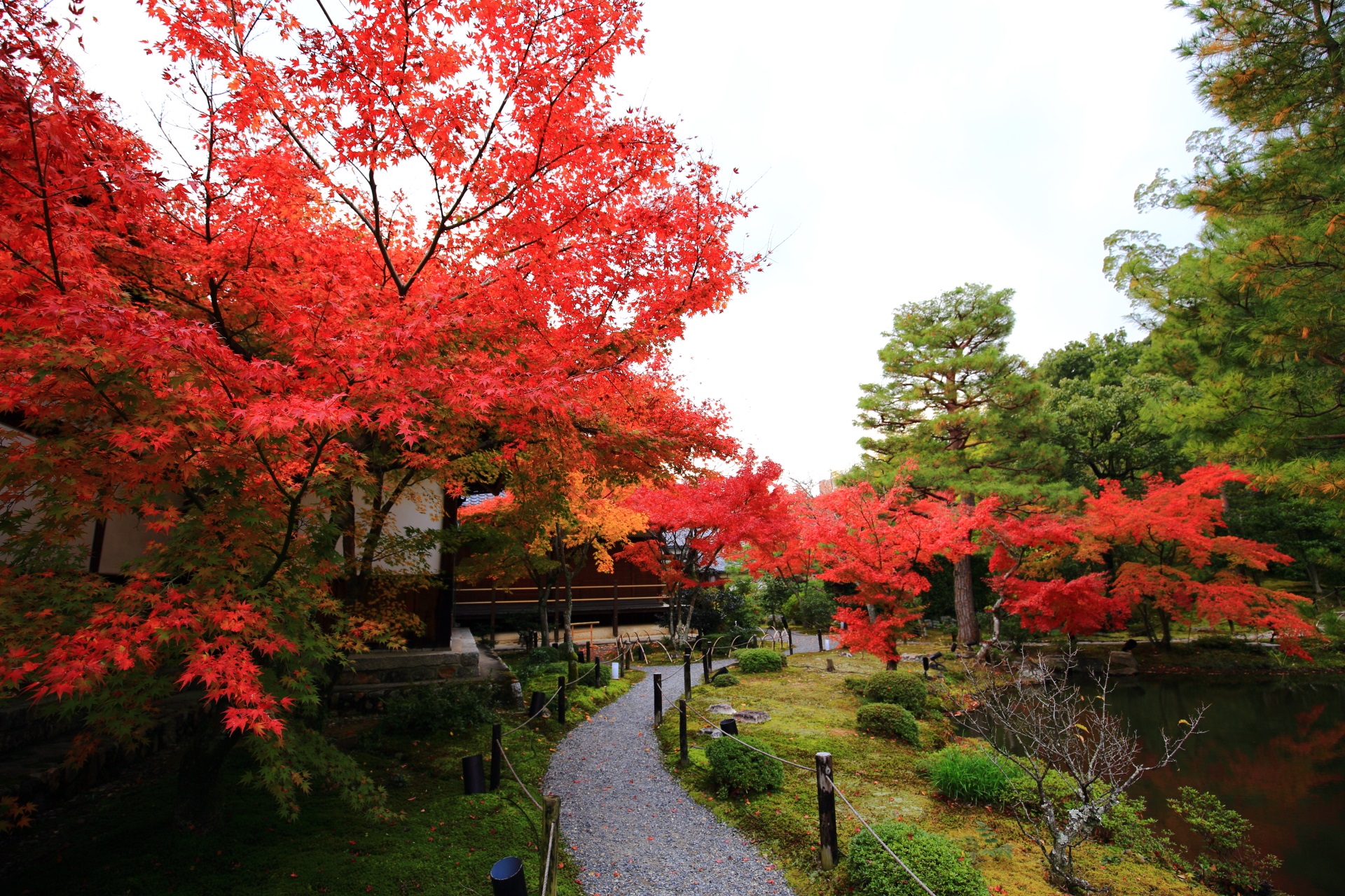 autumn leaves Toji-in Temple in Kyoto,Japan