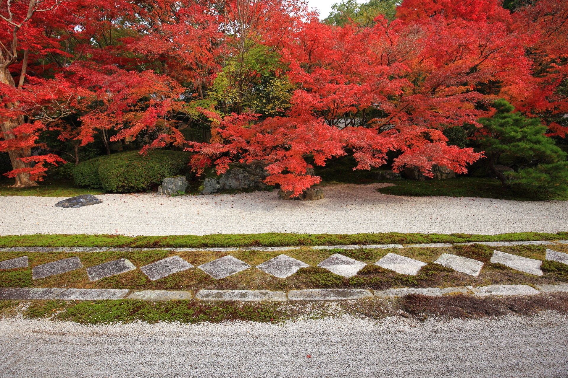 天授庵の紅葉と特徴的な飛び石