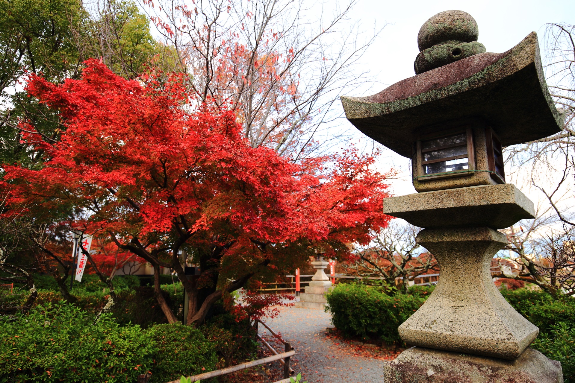 長岡天満宮の燈籠と紅葉の絵になる秋の風景