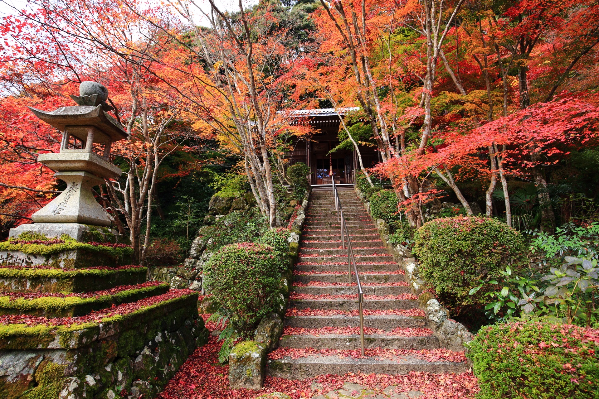 勝持寺の不動堂と紅葉の情緒ある秋色の空間