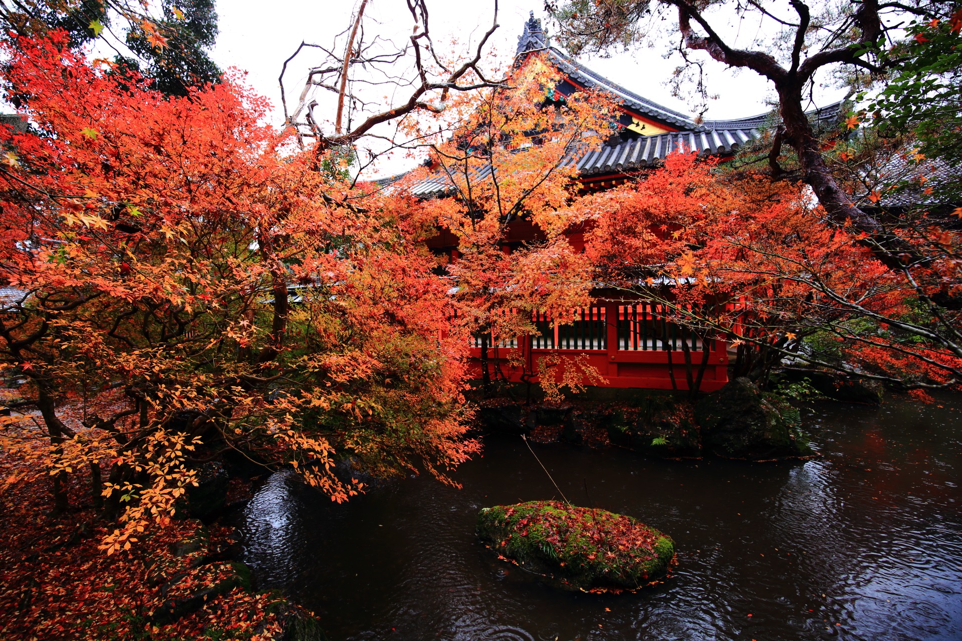 毘沙門堂の本堂と水辺を彩る鮮やかな紅葉