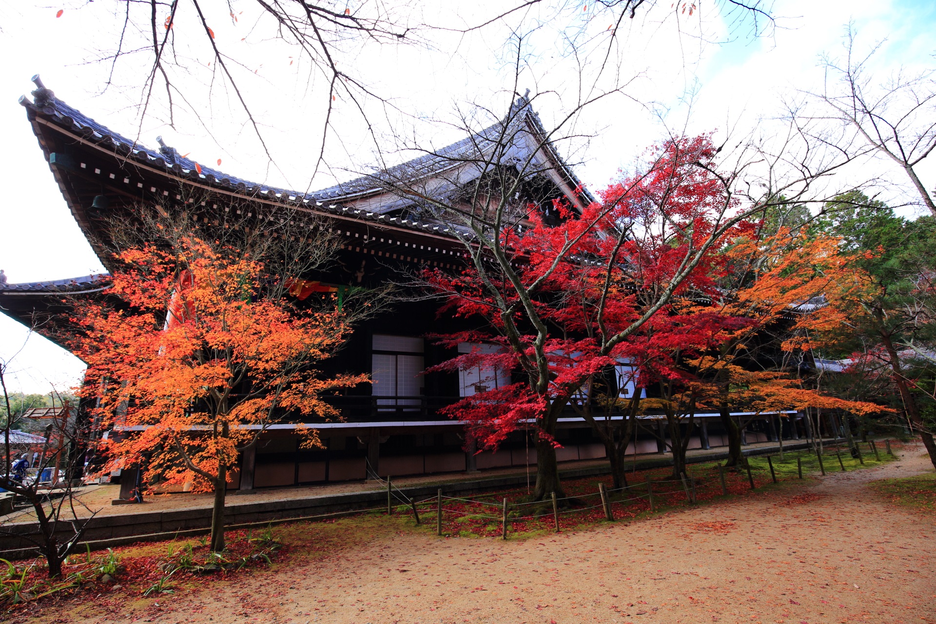 光明寺の本堂と華やぐ多彩な紅葉