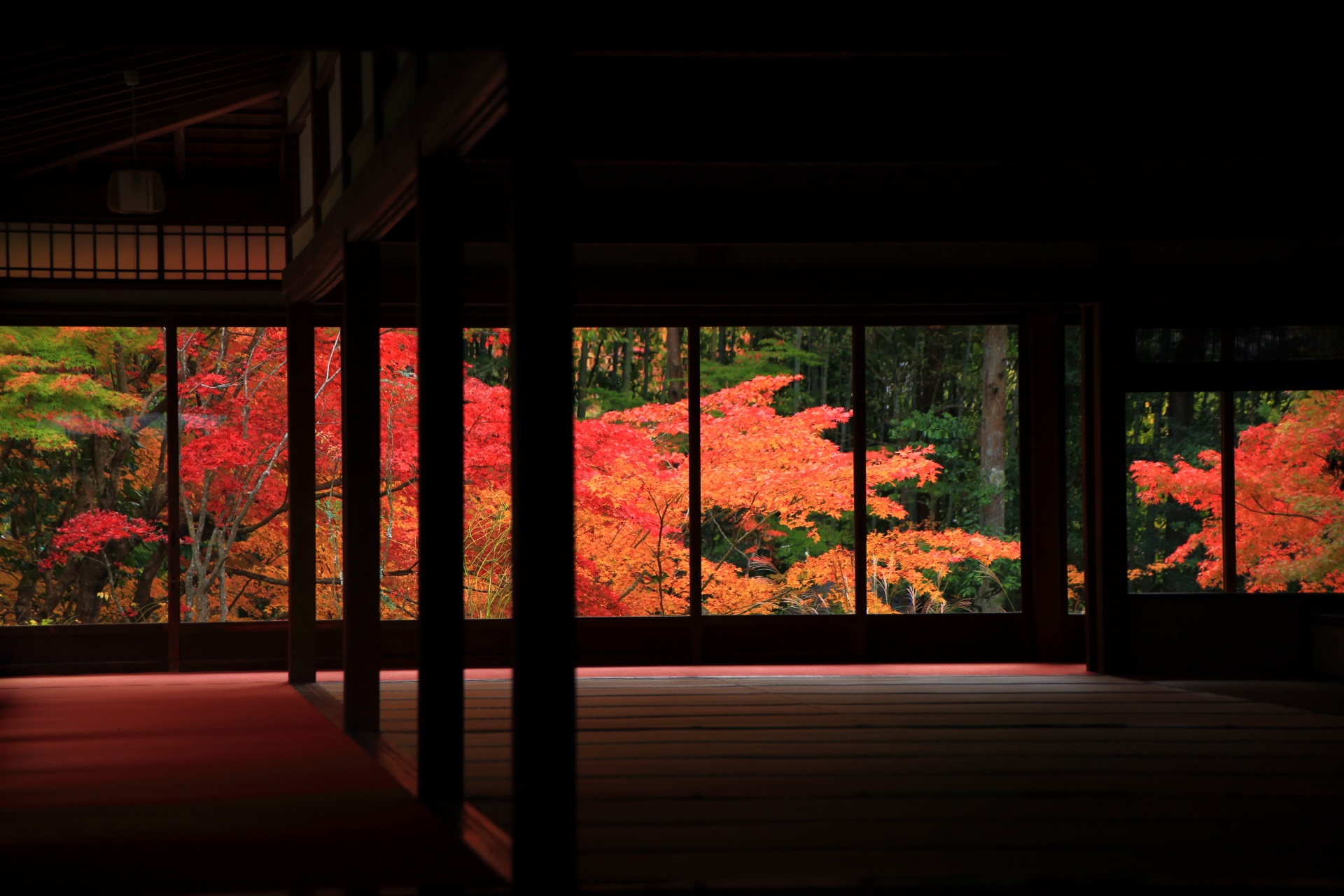 鮮やかな秋色が浮かび上がる独特の見事な天授庵の情景