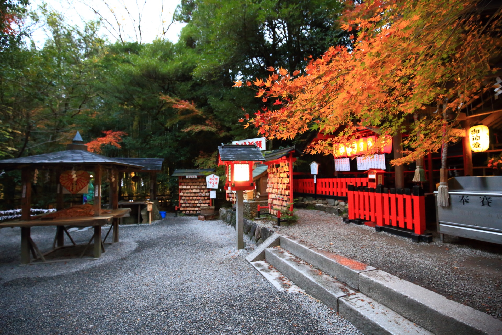 Kyoto Nonomiya-jinja shrine autumn leaves