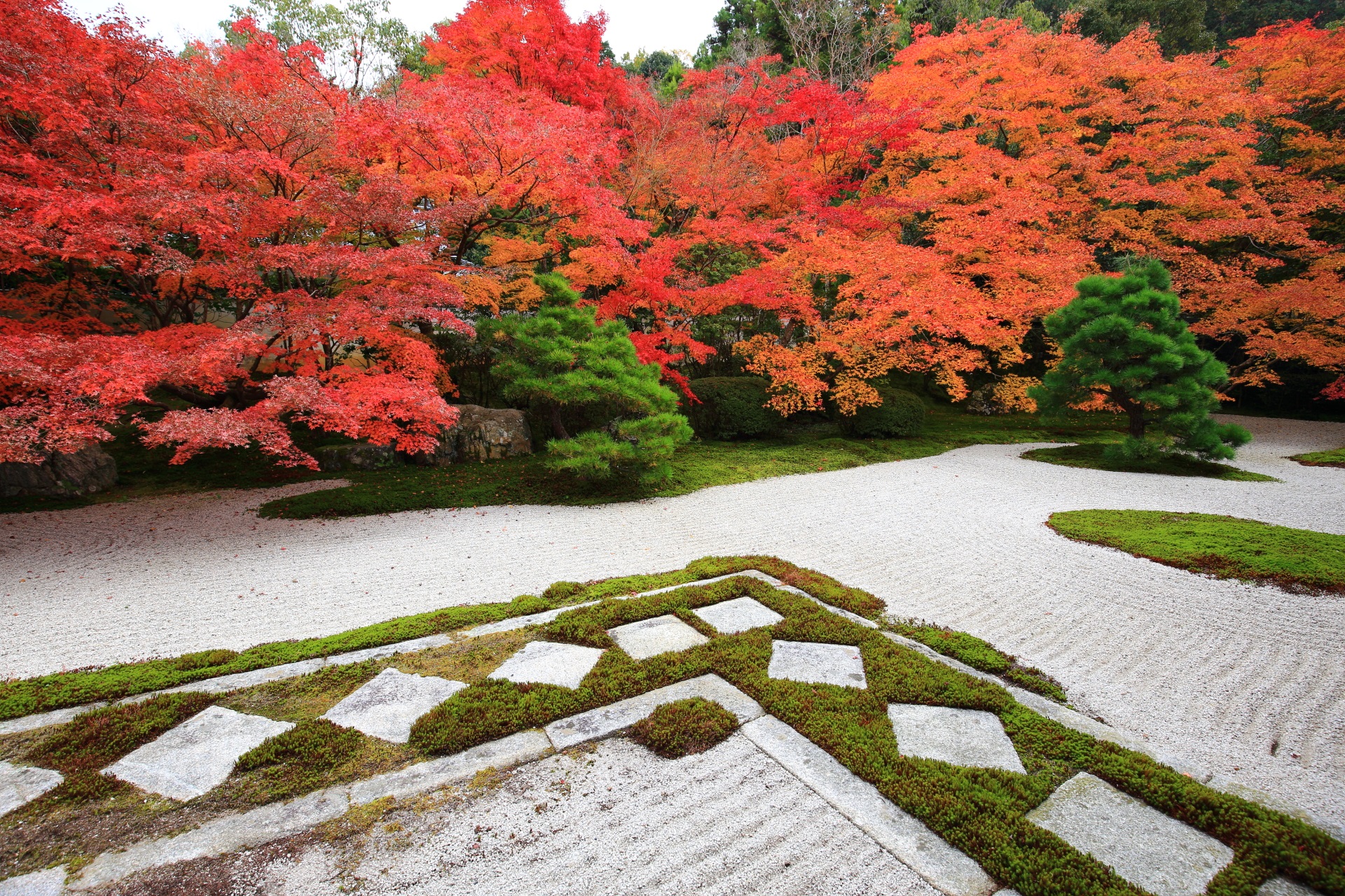 天授庵の素晴らしい紅葉と秋の情景