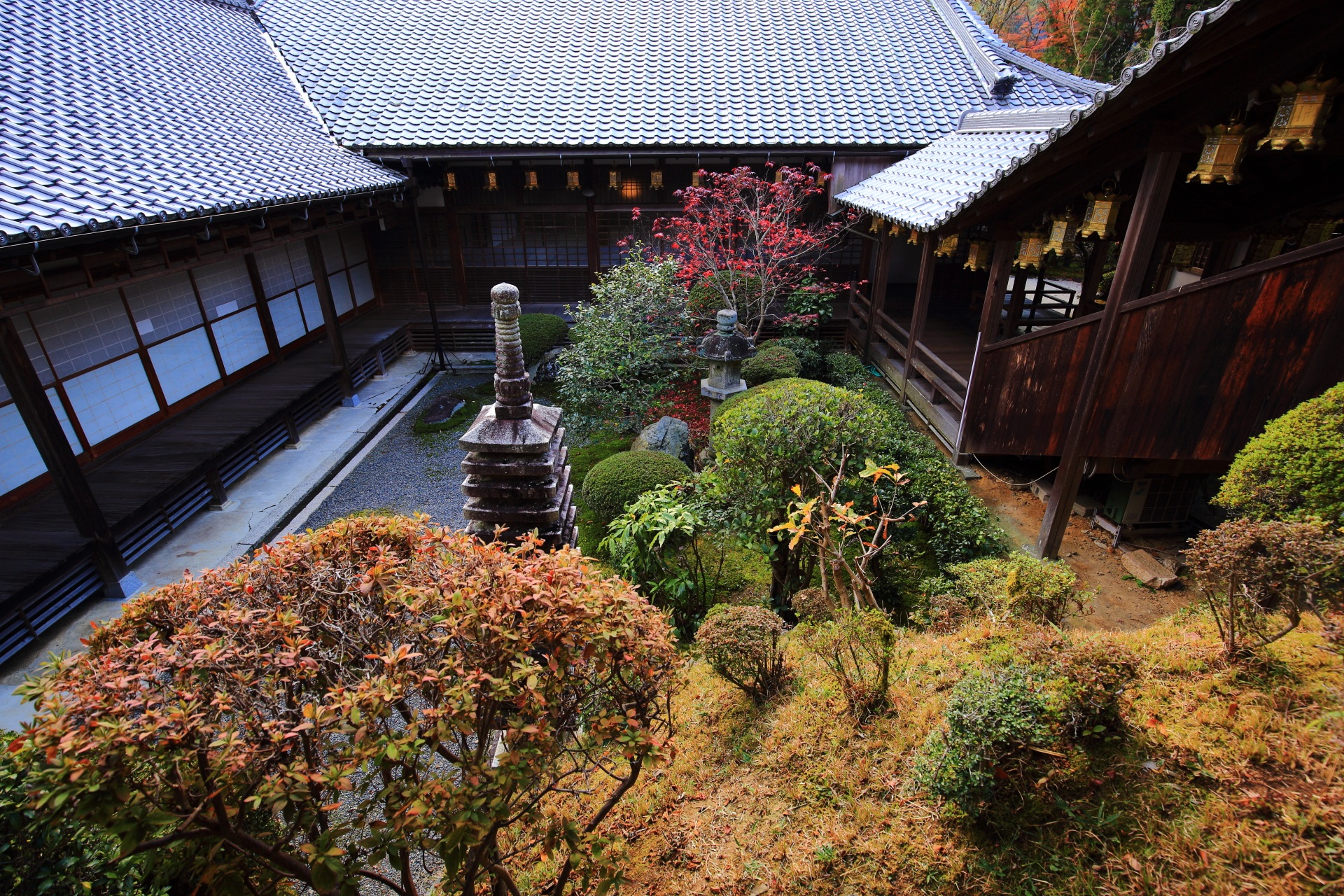 光明寺の風情ある秋の彩りにつつまれる書院と中庭