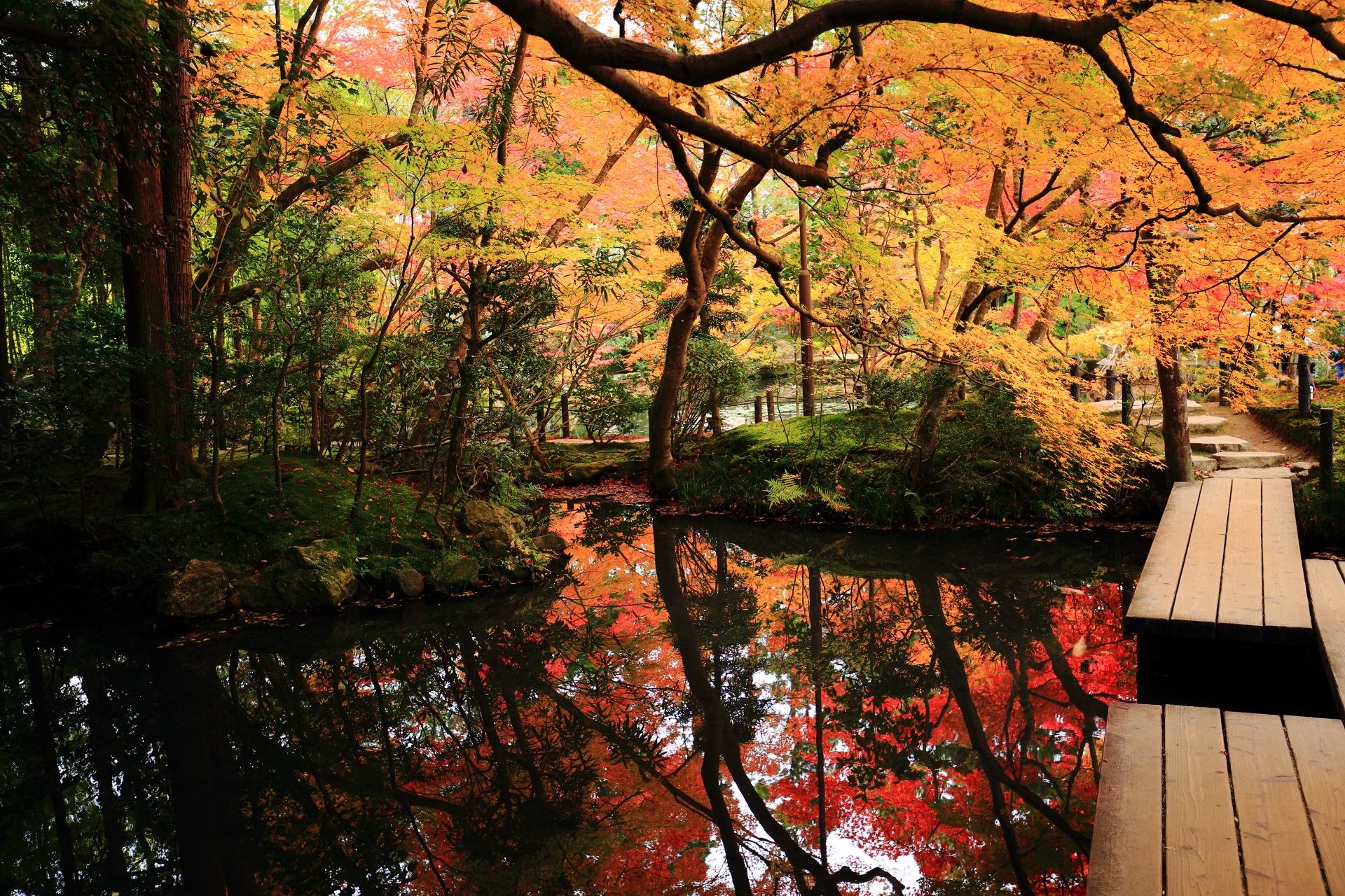 多様な秋が溢れる天授庵の綺麗な紅葉の水鏡