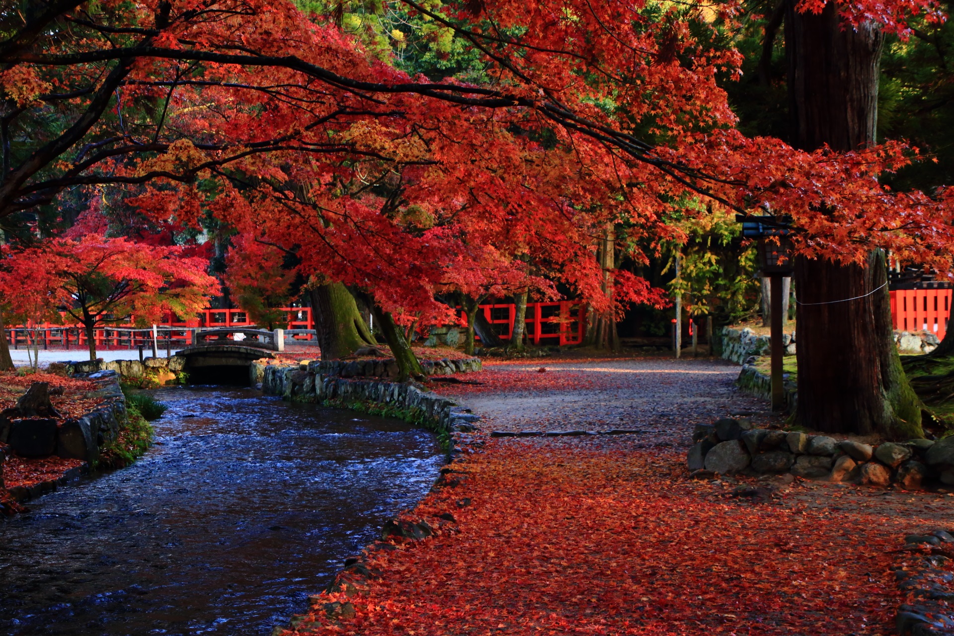 さほど知名度が高くないことが不思議な上賀茂神社の紅葉