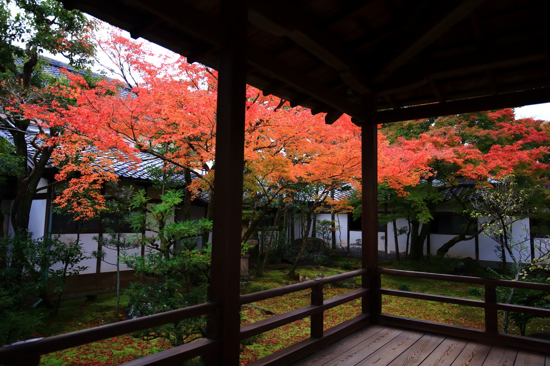 仁和寺のほのかに光って浮かび上がるような色合いの紅葉