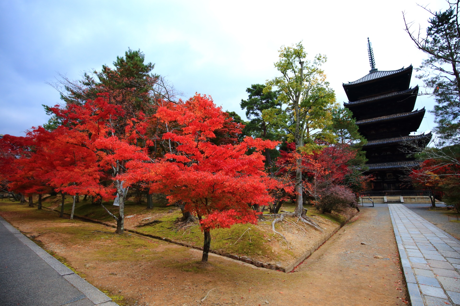 仁和寺の五重塔と鮮やかな朱色の紅葉