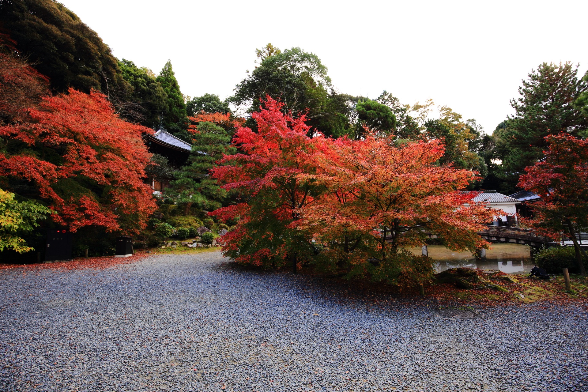 知恩院の納骨堂前の溢れる多彩な紅葉