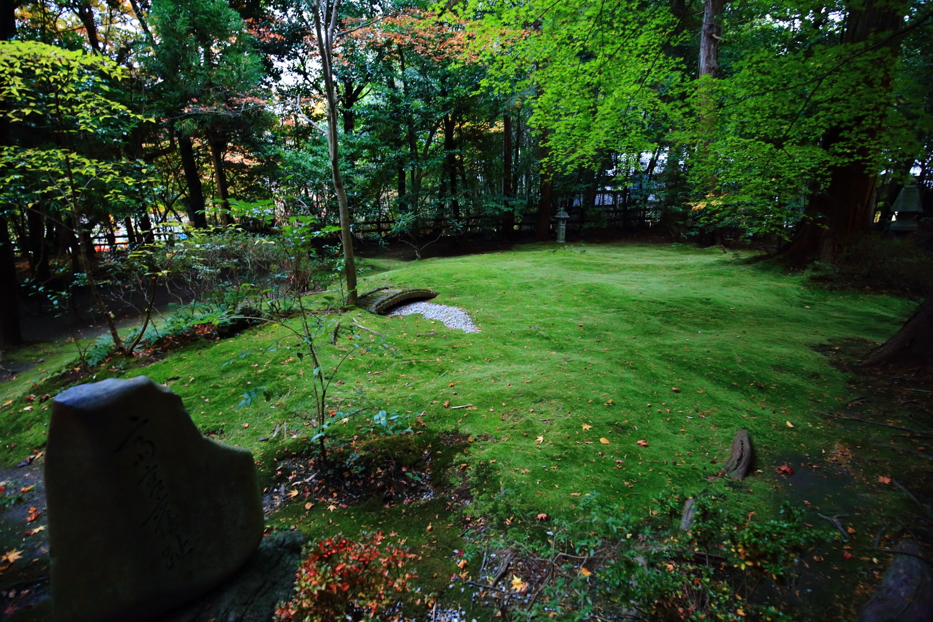 野宮神社の見事な緑の広がる苔庭