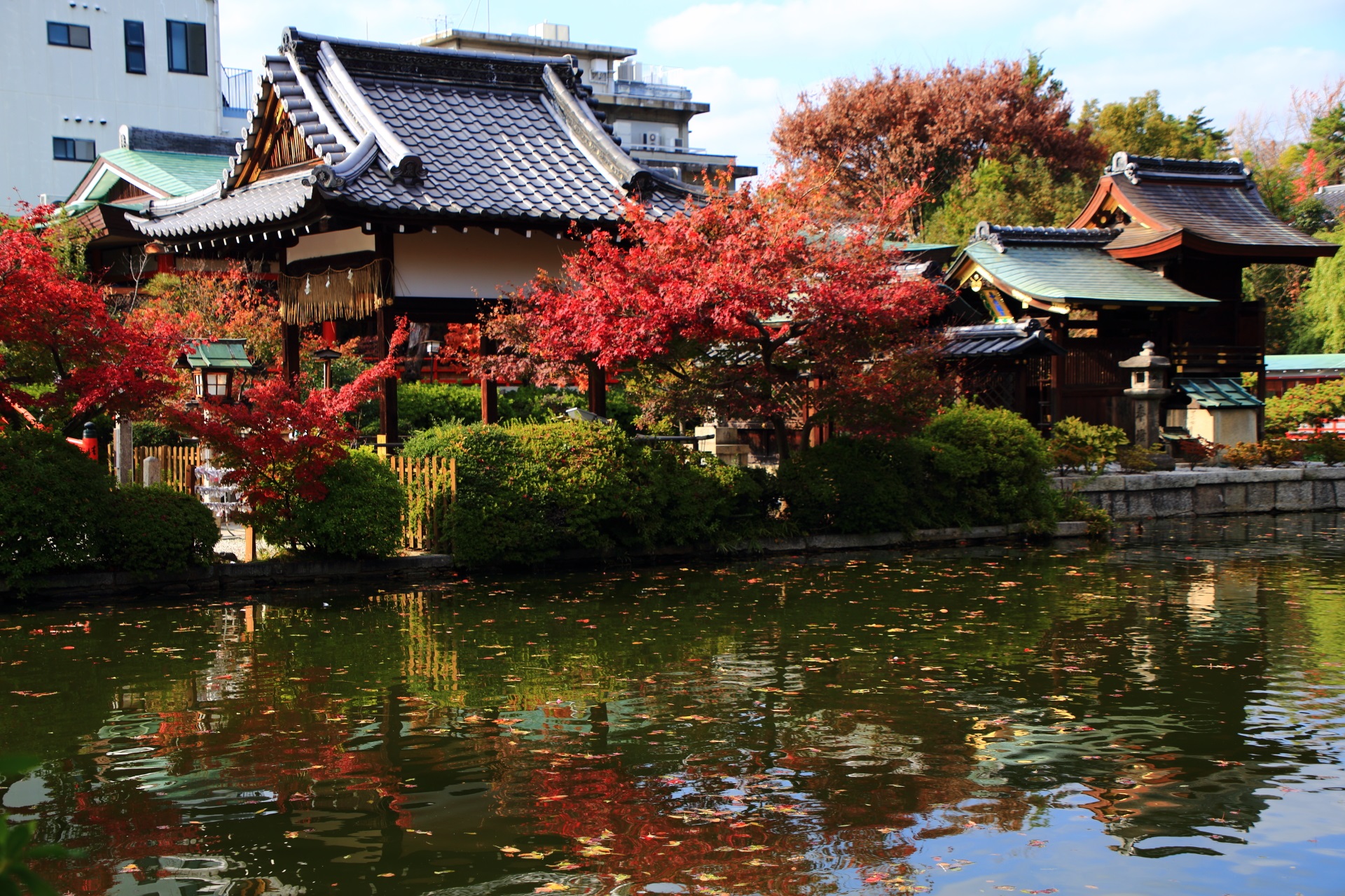 Kyoto Shinsen-en Temple autumn leaves