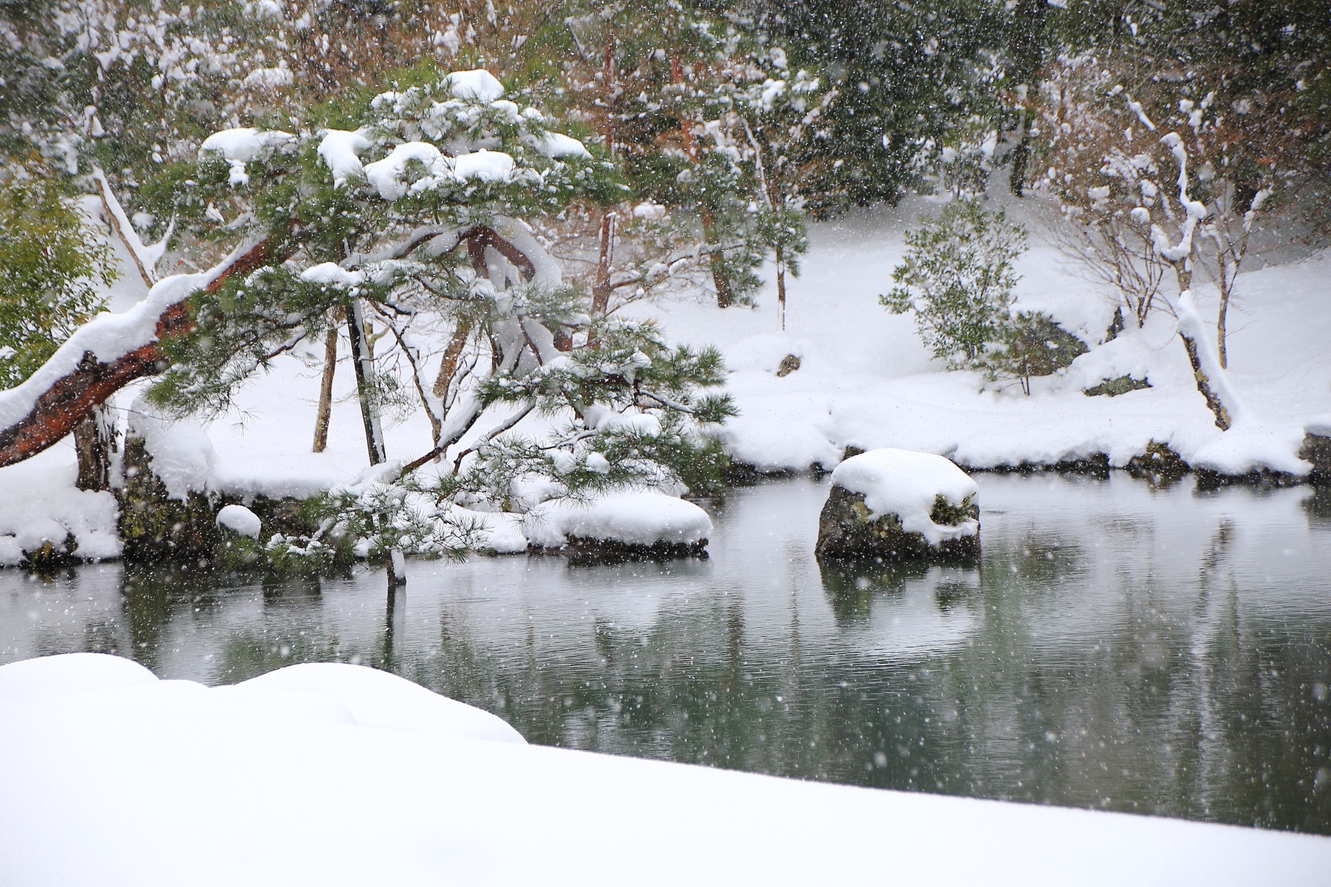 池の岩に積もった真っ白な雪