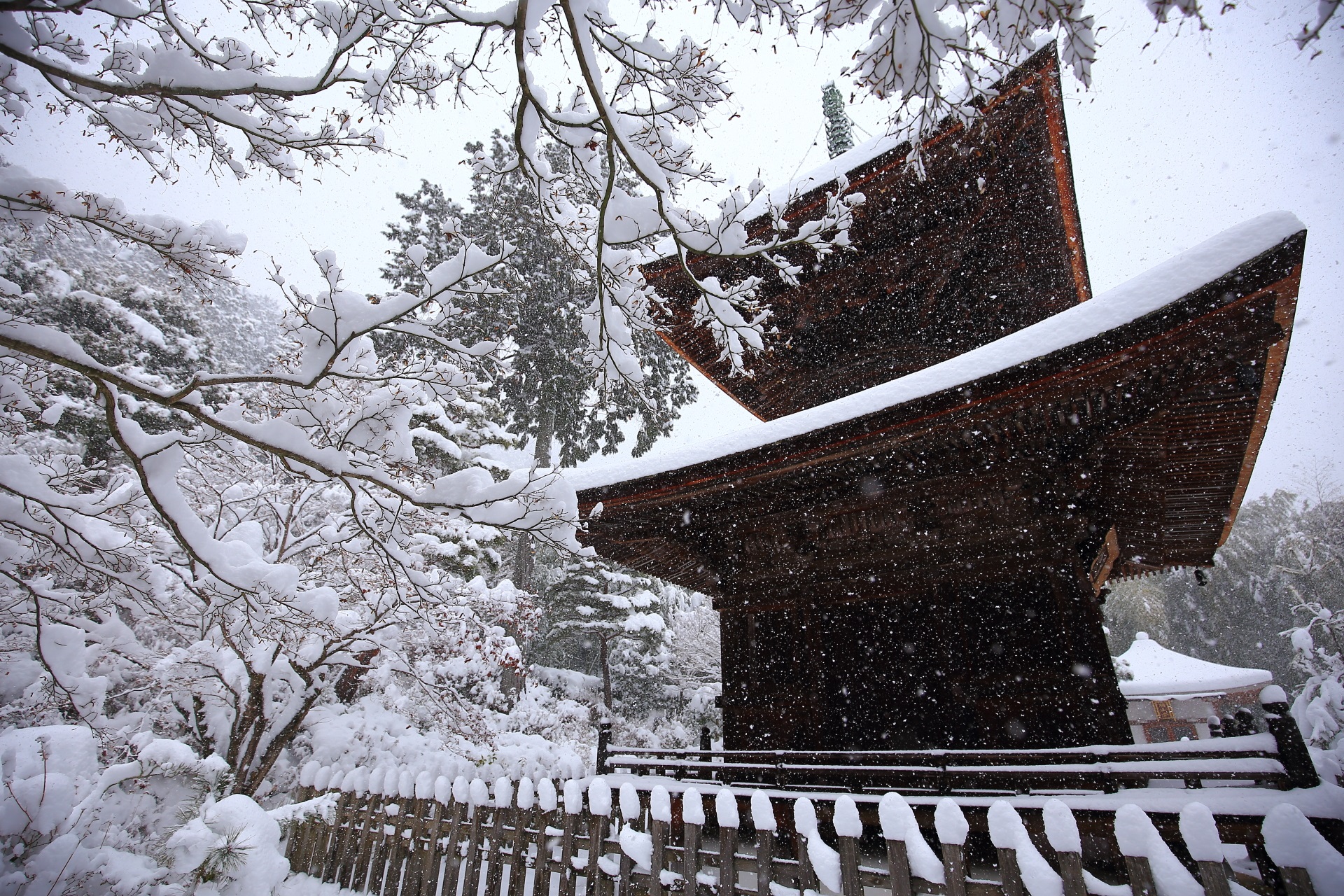Kyoto Saga Jyojyakkoji-Temple snowy landscape