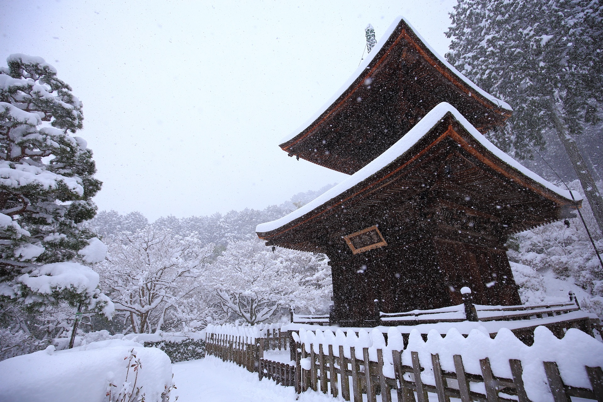 雪の強く降る冬の常寂光寺の宝塔