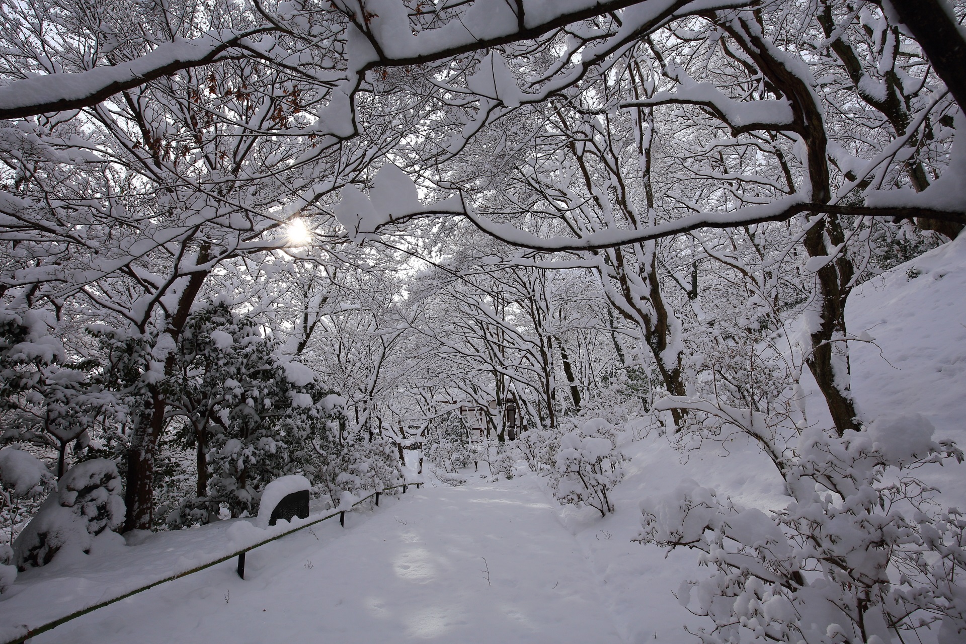 常寂光寺の参道の雪景色