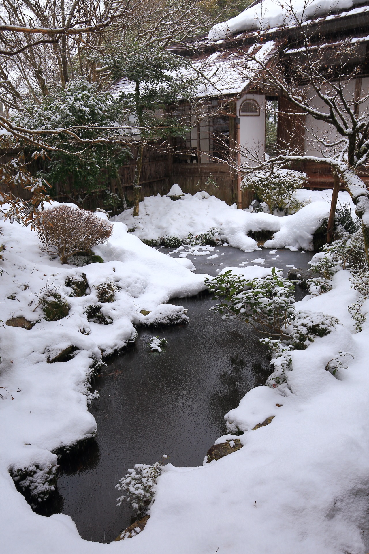 Kyoto Ohara Hosenin-Temple snowy landscape
