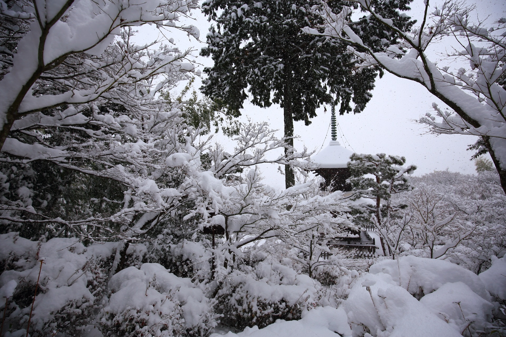 Jyojyakkoji-Temple snowy landscape in Kyoto Sagano