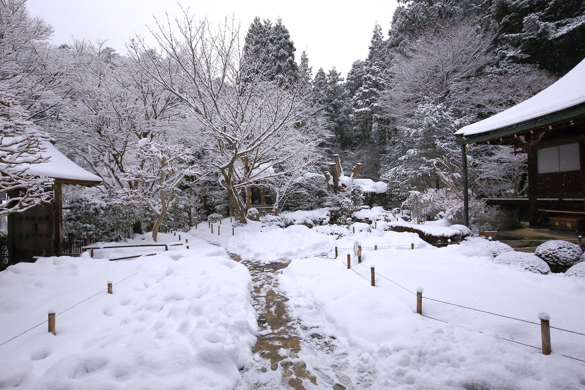 Jyakko-in Temple snowy landscape in Ohara Kyoto,Japan