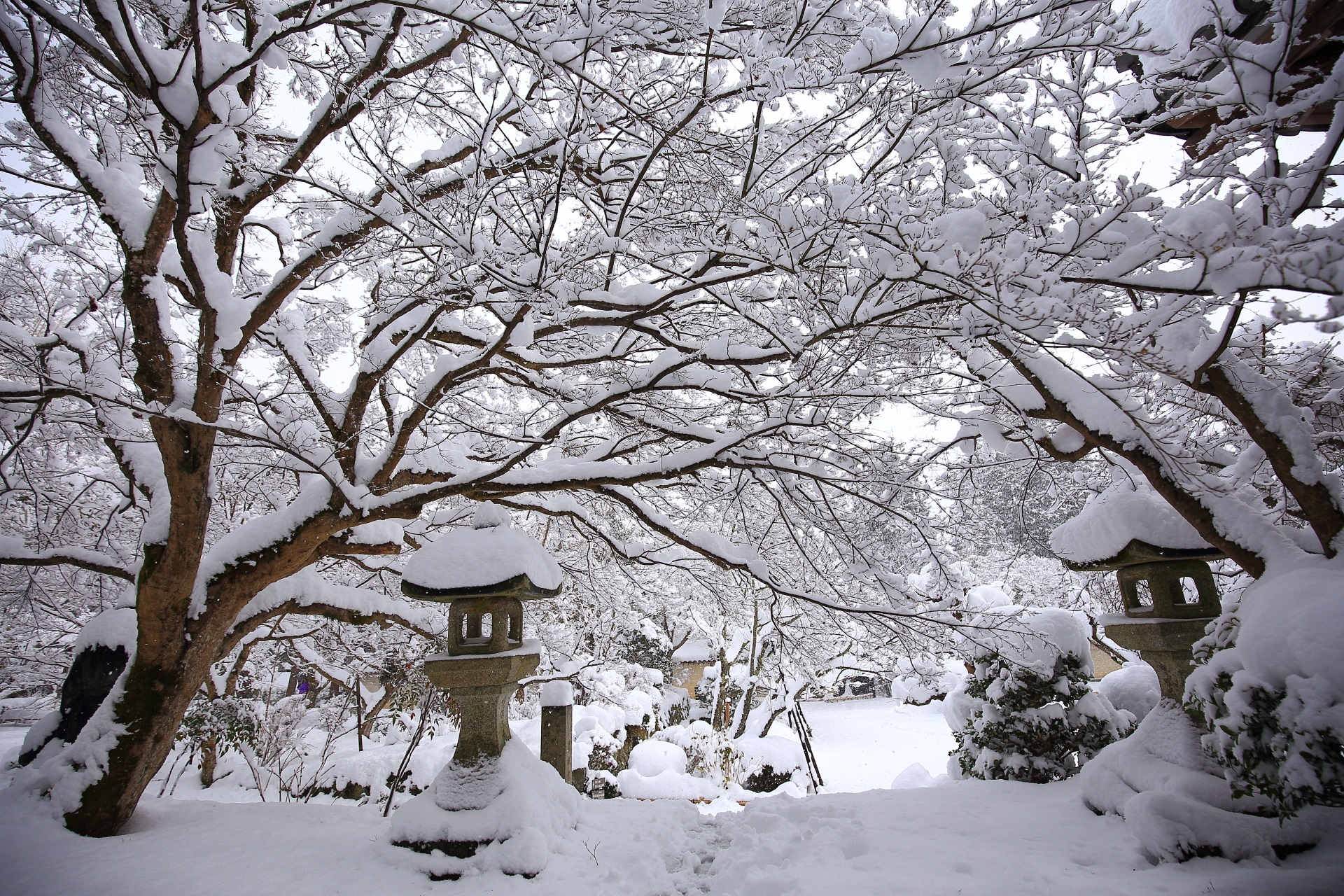 snowy landscape Nisonin-Temple in Kyoto,Japan