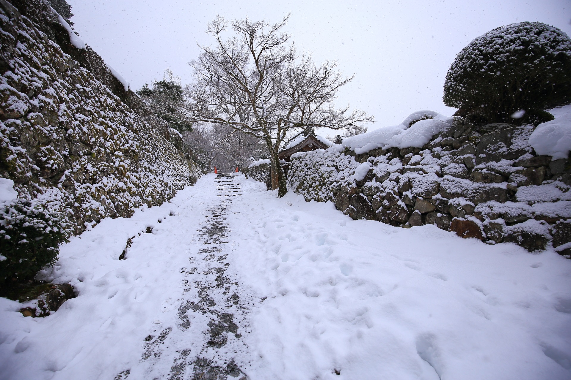 冬の京都大原の一面白銀の雪景色