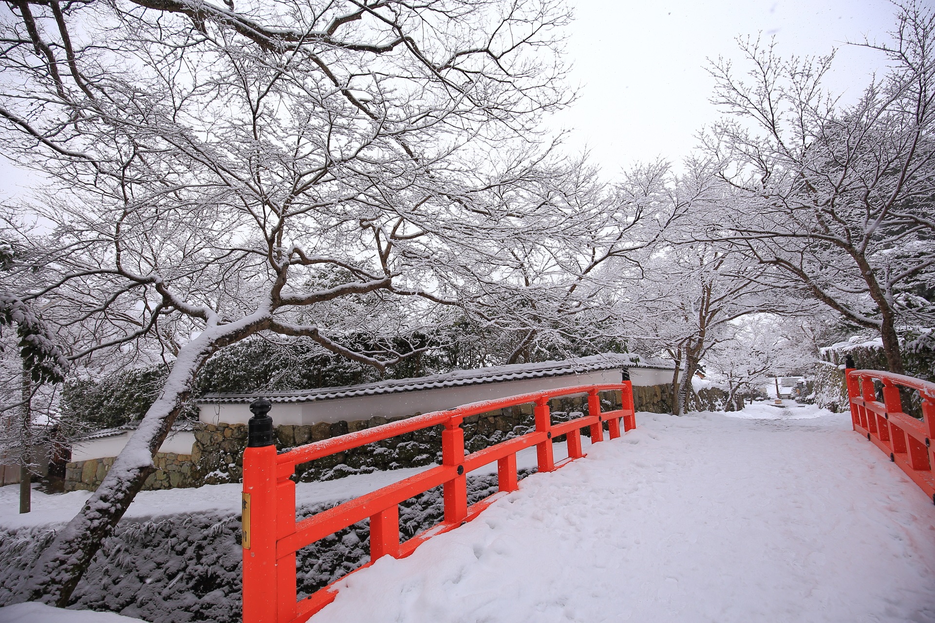 律川の雪景色