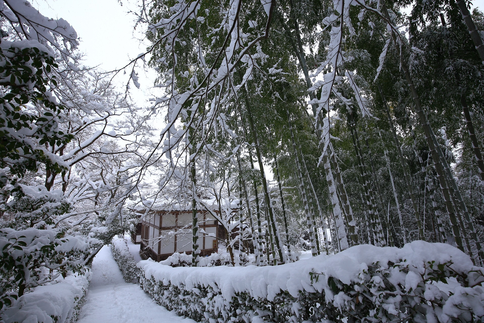 妙見堂と竹林の雪景色
