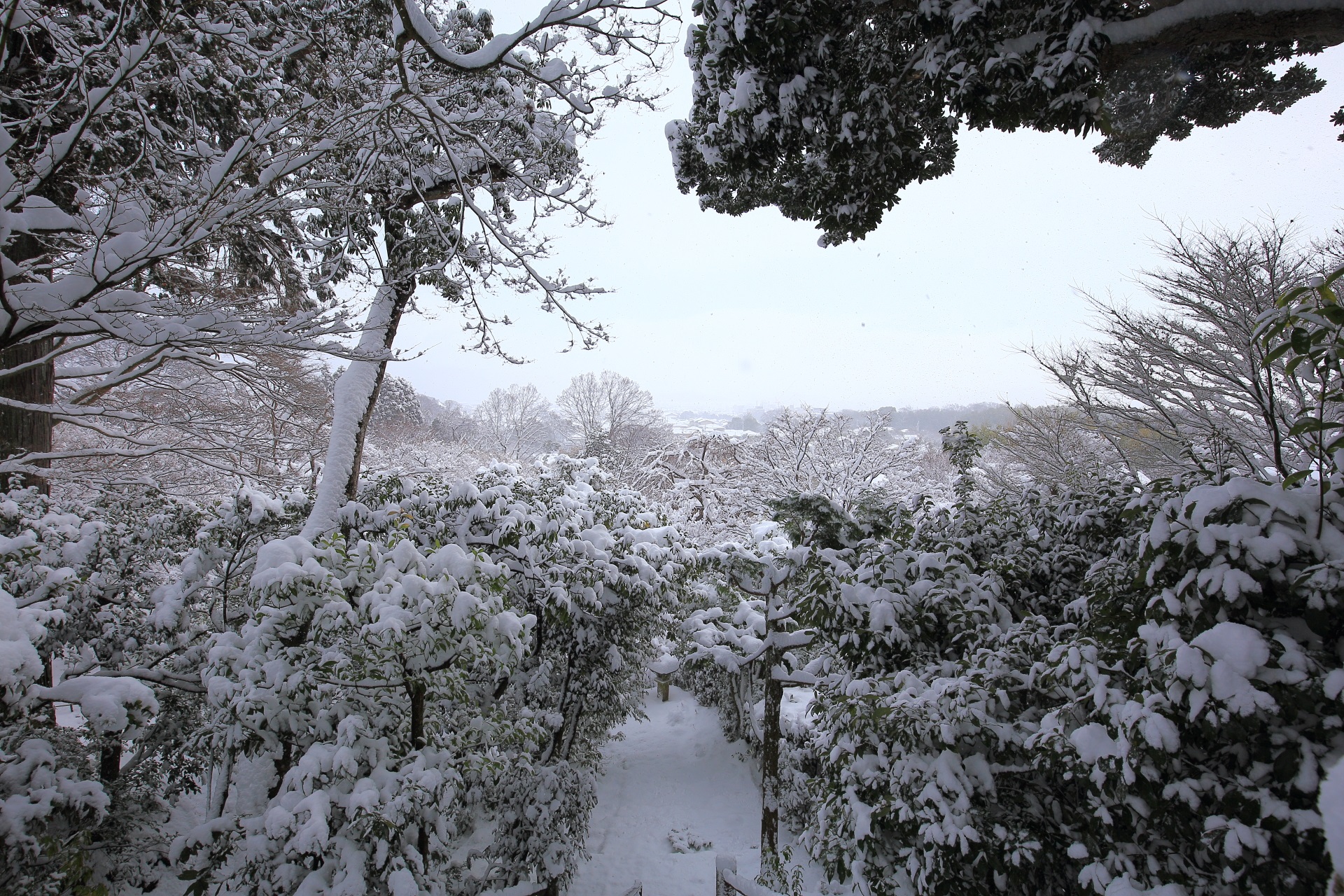 常寂光寺の展望台から眺めた雪景色
