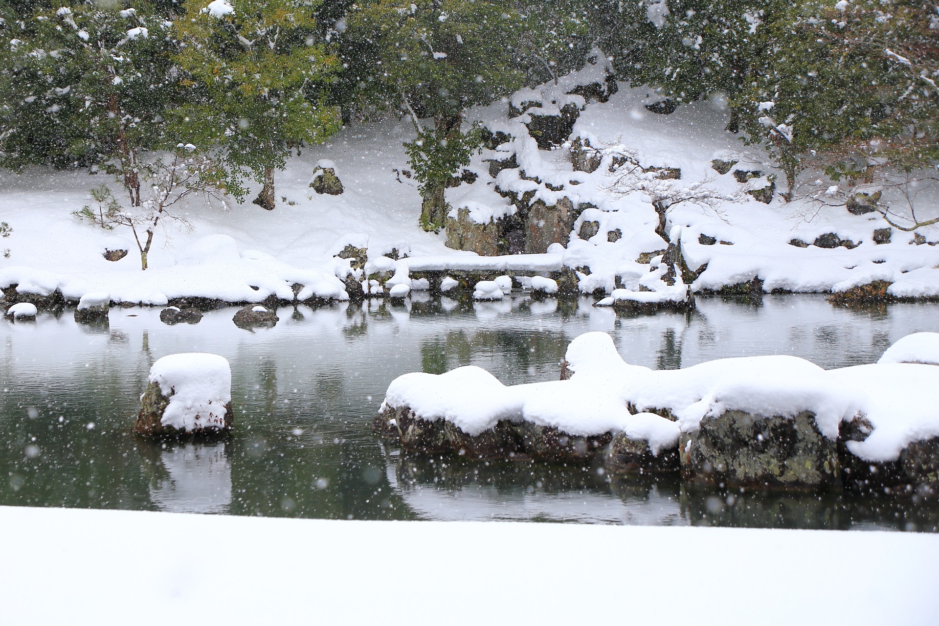 曹源池庭園のふわふわの雪