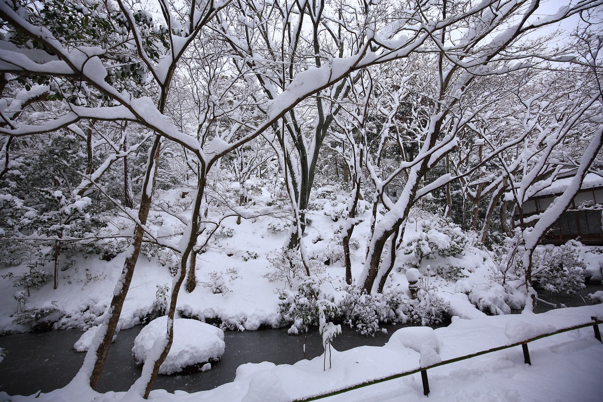 本堂裏の池泉式庭園の雪景色