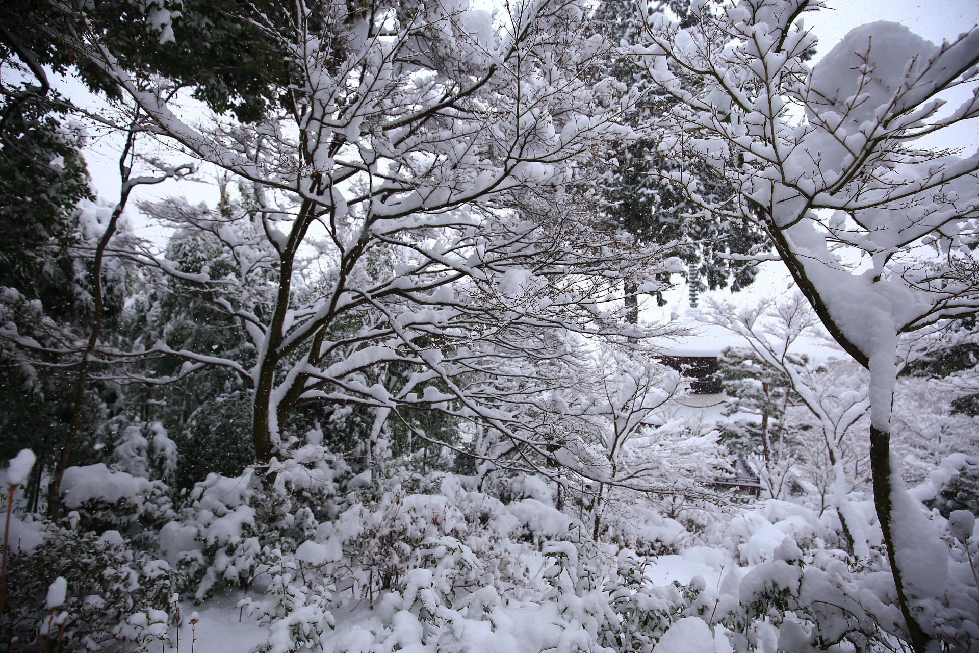 常寂光寺の雪国のような冬の光景