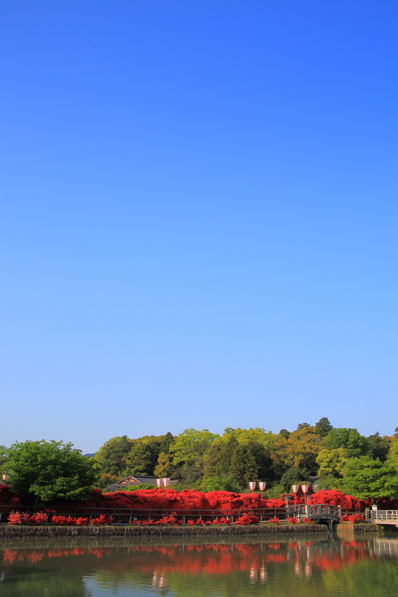 Kyoto Nagaoka-tenmangu shrine Red Kirishima Azalea and blue sky