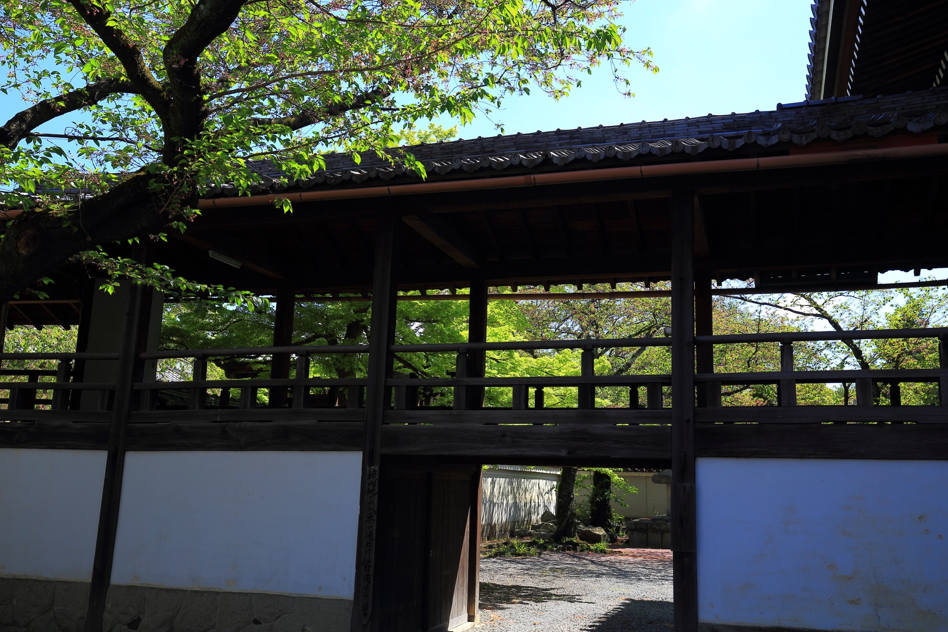 妙顕寺の風情ある渡廊下と新緑