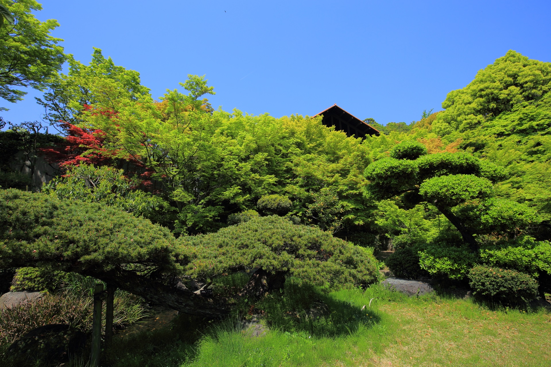 大山崎山荘美術館の美しい緑と青空