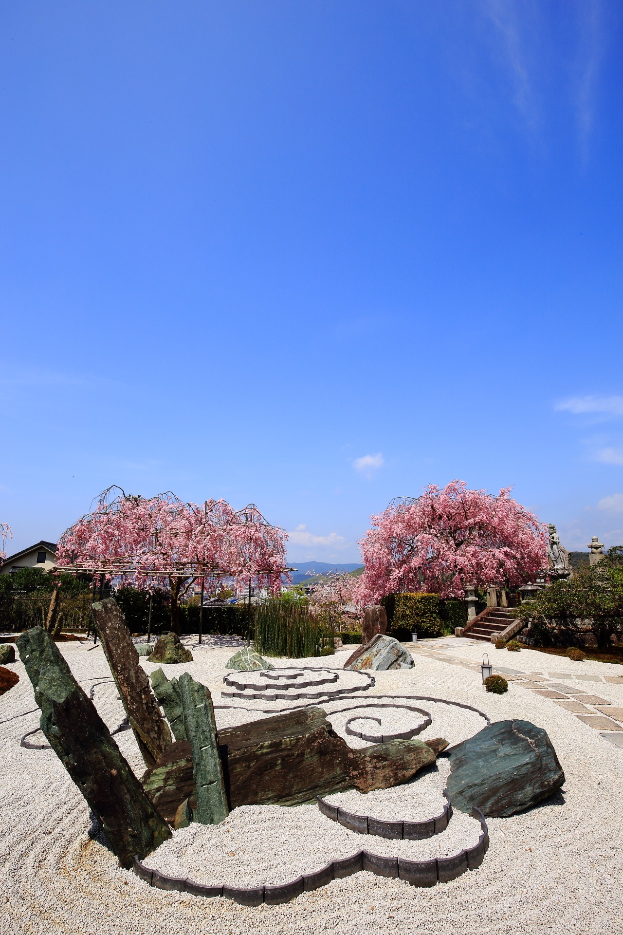 圓光寺の素晴らしい桜と庭園と青空