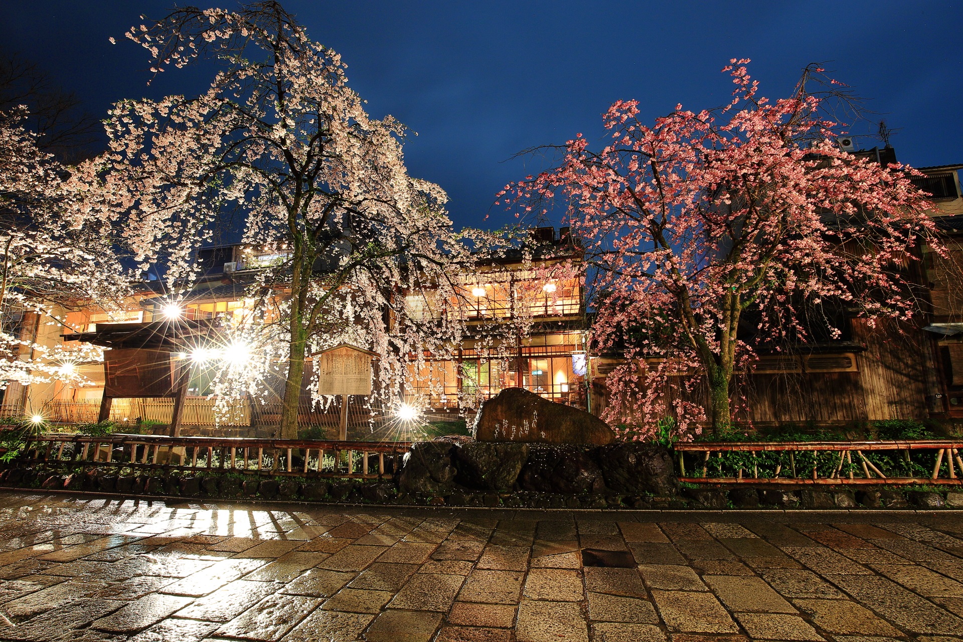 街並みや石畳も情緒ある祇園白川のかくかくに碑の夜桜