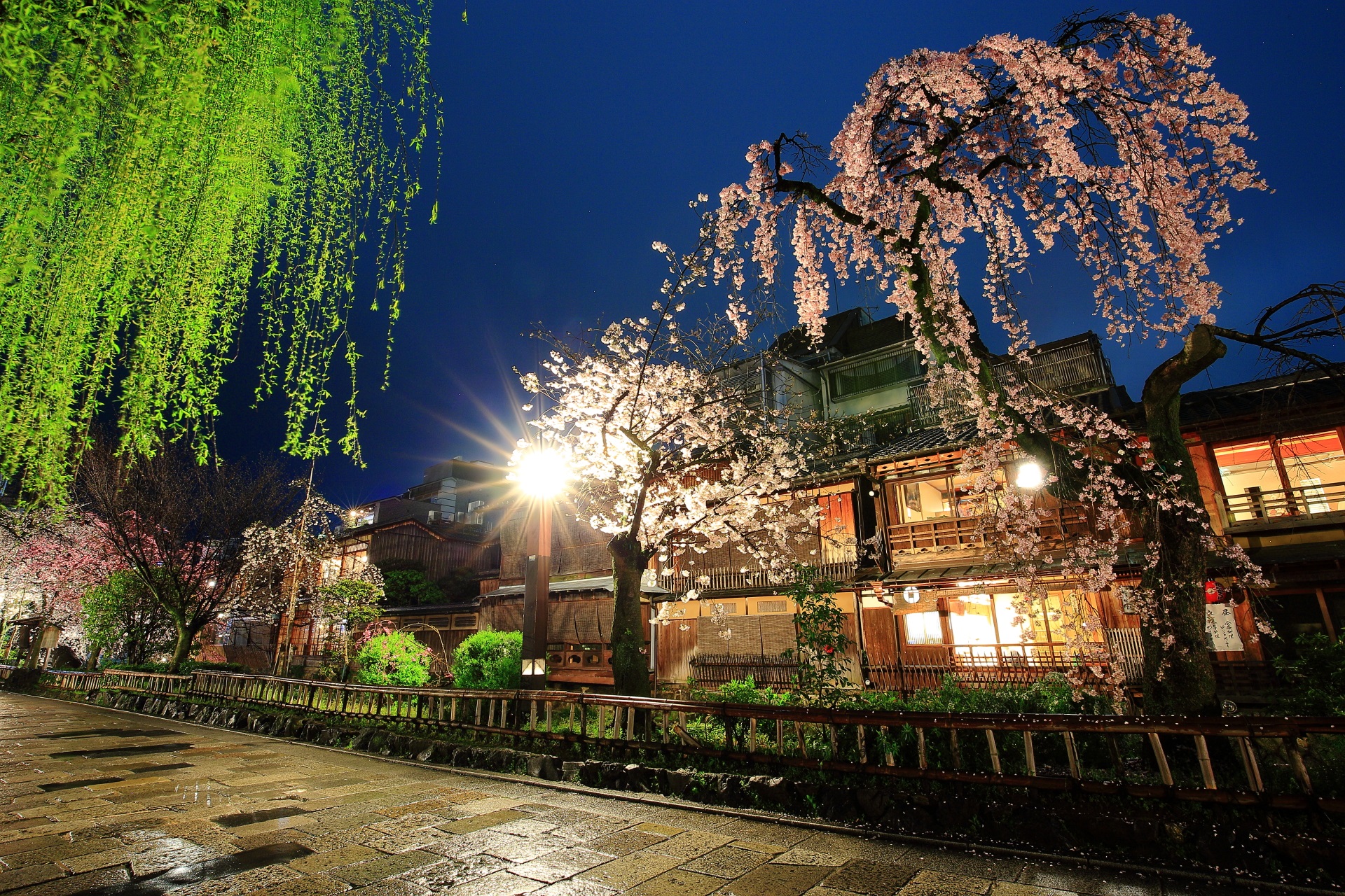 古風で風情ある柳としだれ桜の春の夜の情景