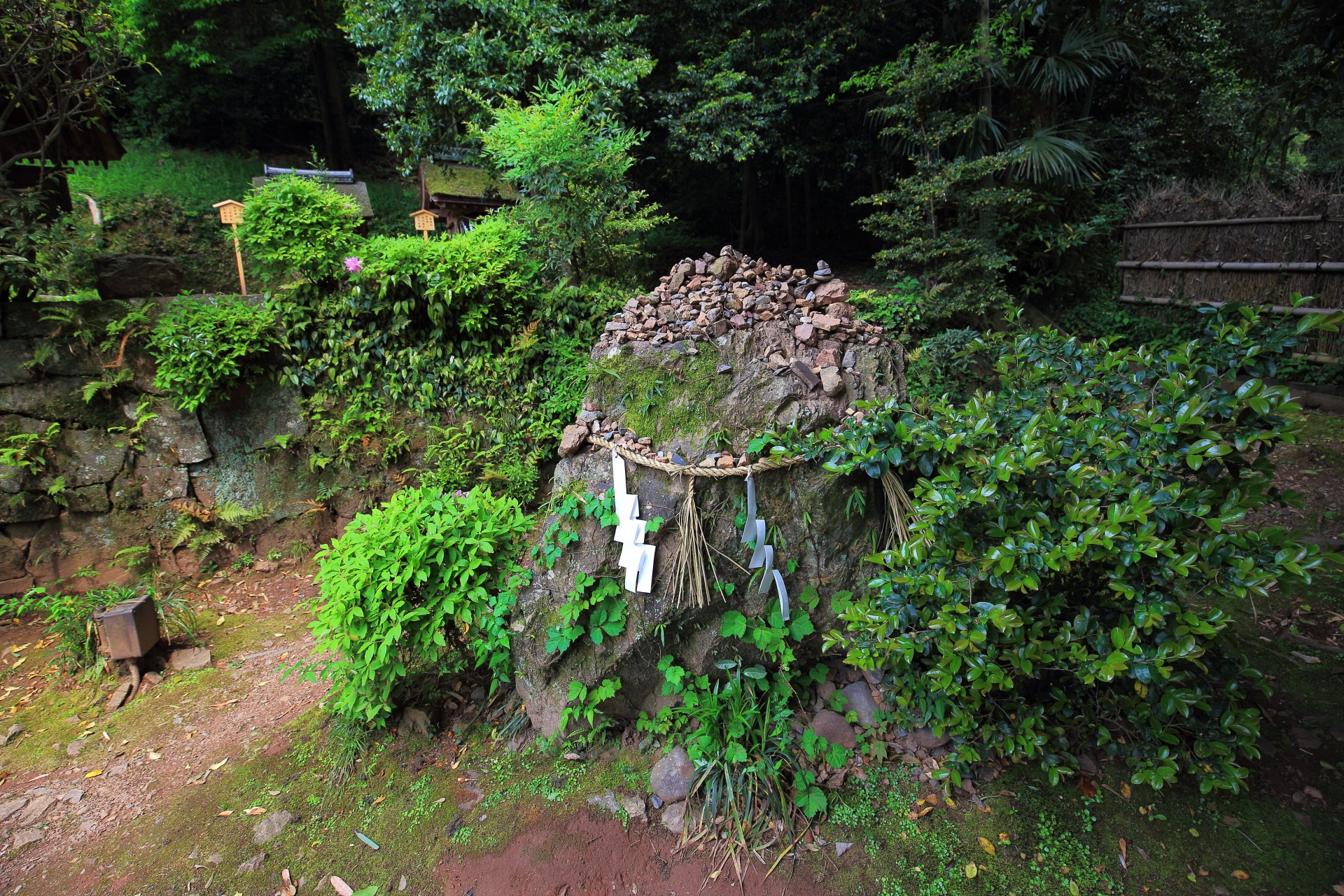 宇治上神社の緑溢れる境内と岩