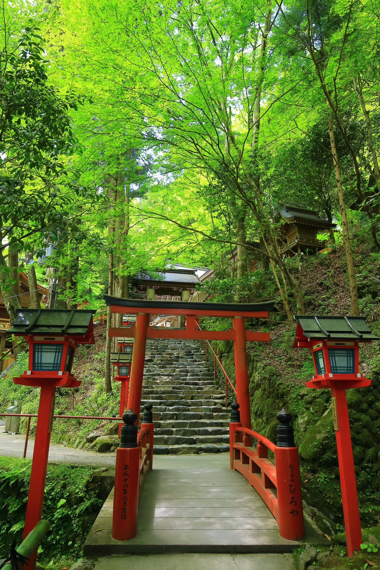 Kyoto Kifune-jinja Shrine blue maple